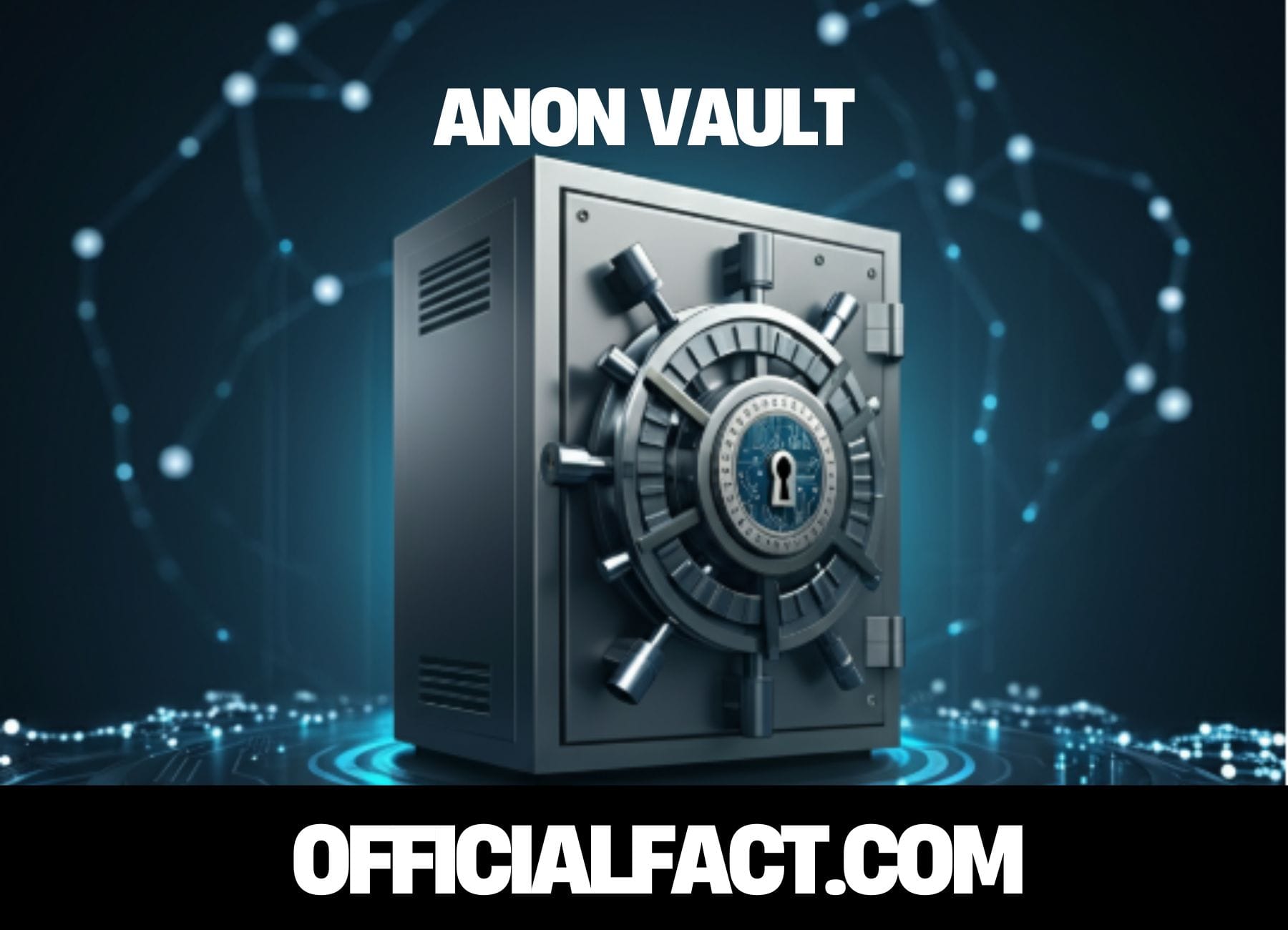 anon vault