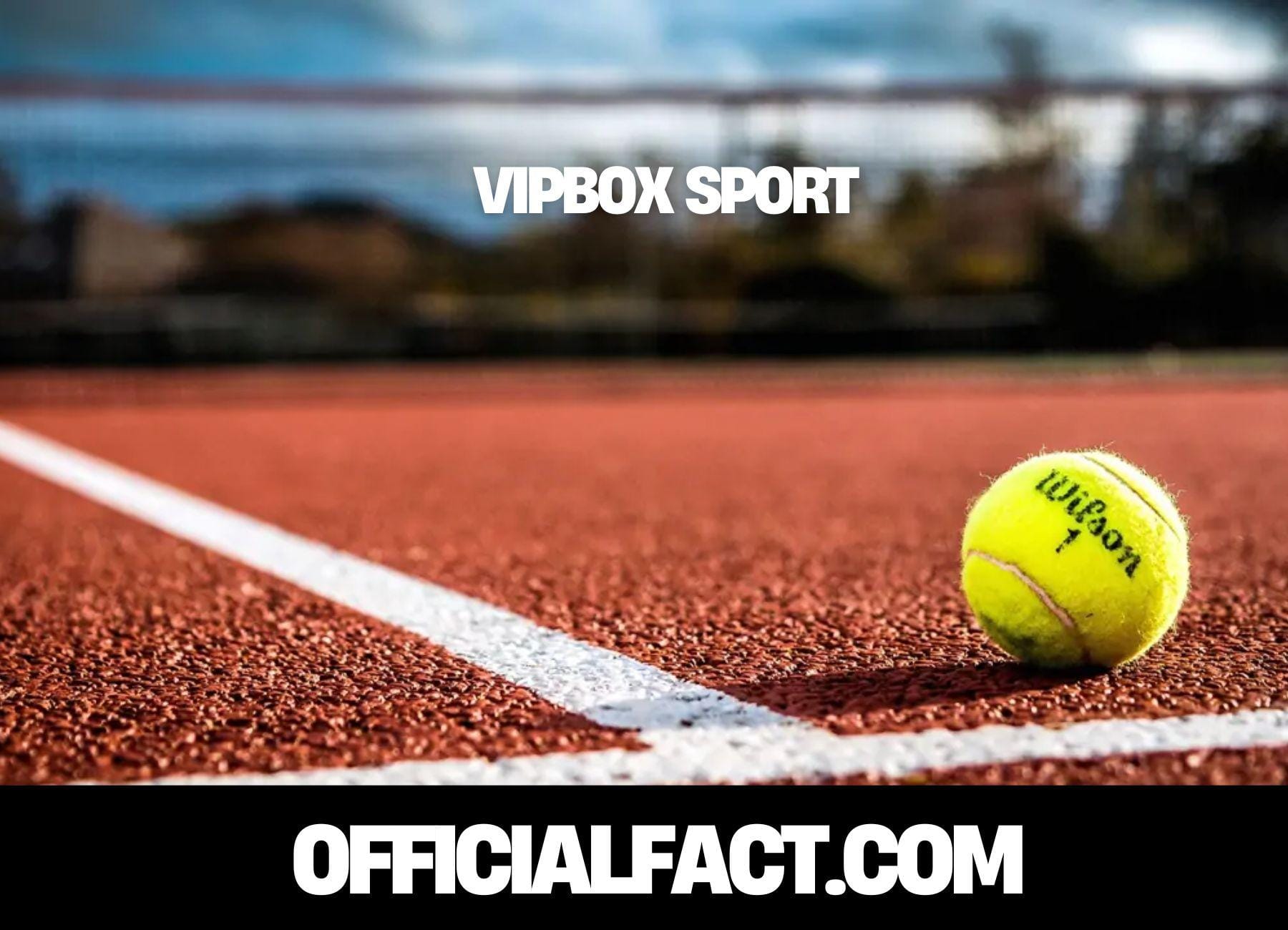 vipbox sport