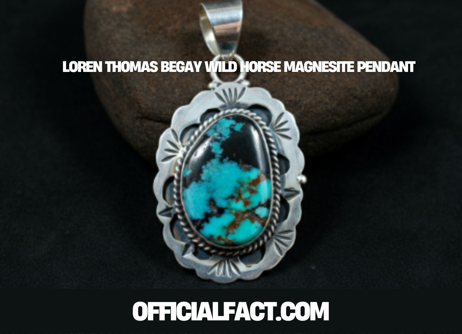 Loren Thomas Begay Wild Horse Magnesite Pendant